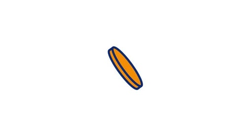 Coin Animated Icon