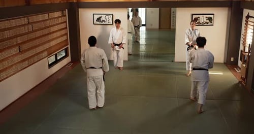 Aikido Training in Traditional Japanese Dojo