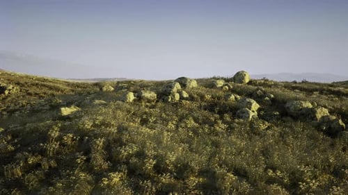 Arid Rocky Landscape with Dry Grass and Moving Camera