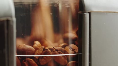 Electric Coffee Grinder Preparing to Grind Coffee in Shop Barista Making Specialty Drink