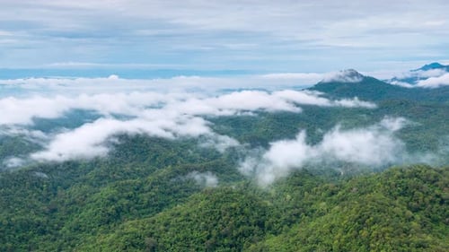 Aerial view morning scenery Mist flowing over the high mountains.