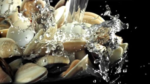 Un jet d'eau se déverse sur une nouvelle vongole filmée par une caméra à haute vitesse à 1000 images par seconde