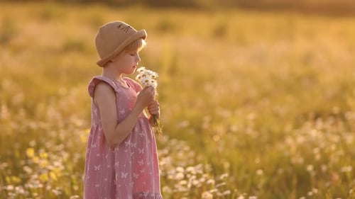Little Girl Smelling Flowers in a Flower Field