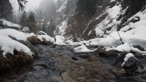 Mountain creek flowing through snowy winter forest