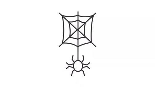 Spider line animation