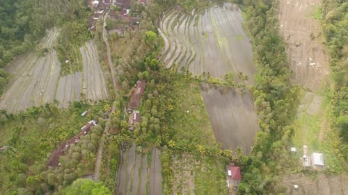 Tropical Landscape with Agricultural Land in Indonesia