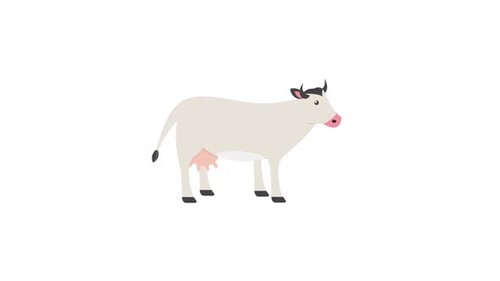 Animated Farm Animals Walking Cycle in Flat Design Style