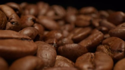 Coffee Beans Dolly Shot Macro Close Up