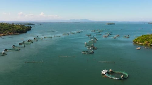 Fish Farm with Cages Philippines