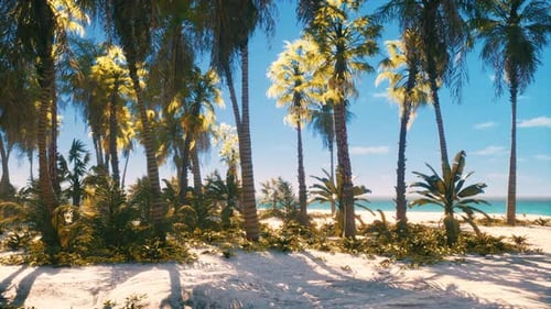 Sunny Tropical Beach with Swaying Palm Trees and Blue Ocean
