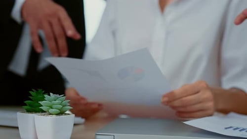 Business Officer with Teamwork Brainstorming and Talking at Office