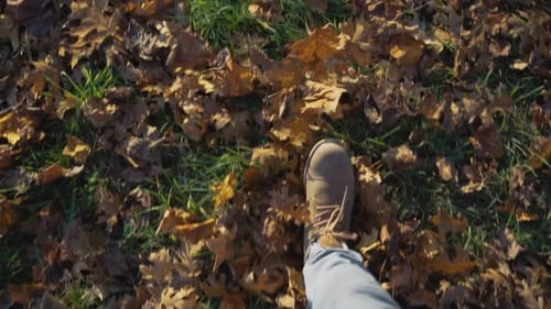 POV young man boots walking and kicking fall leaves through park in slow motion