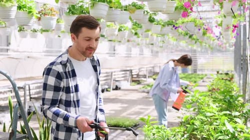 Man and Woman Gardening in Bright Greenhouse