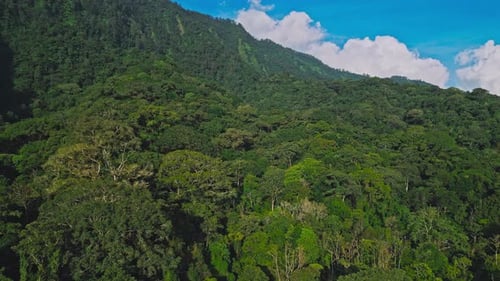 Luftaufnahme der Waldnatur und der grünen Waldbäume in der Landschaft der Berghügel