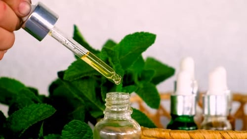 Dropping Essential Oil Into Bottle with Fresh Mint