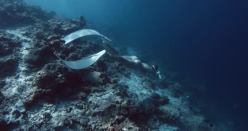 Woman Freediver Glides on Deep in Tropical Sea Girl Swims Underwater Against the Backdrop of a Coral