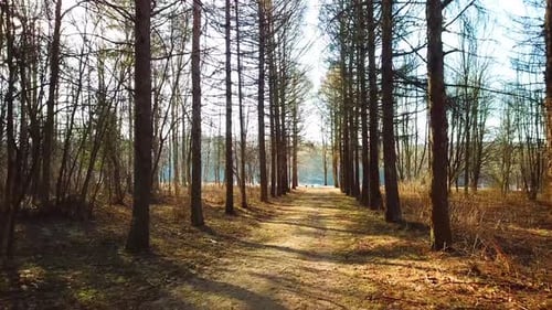 Arboretum In Luzhesno 10