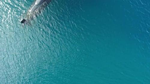 4K aerial drone footage of a submarine on the ocean