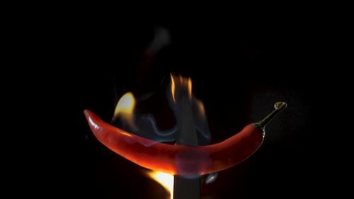 Red Chili Pepper Engulfed in Flames on Black
