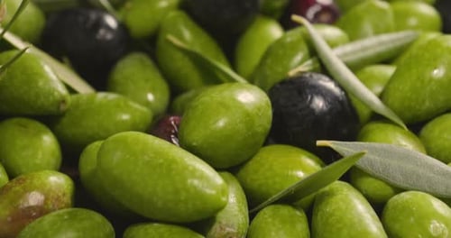 Composition of freshly harvested Italian genuine olives and oil . Concept of: olives, italian food
