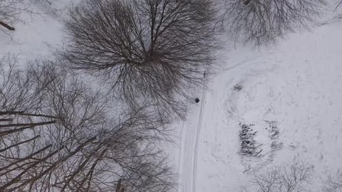 Top-down aerial view of a snow-covered forest path with a lone person walking through a winter