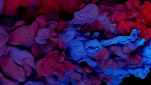 Fluid Art in Action Blue and Red Ink Paint Drops Creating Intricate Designs in Water Black
