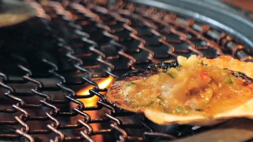 Big Fresh Scallop Shell Seafood Grill on Metal Net with Charcoal Barbecue in Korean Restaurant