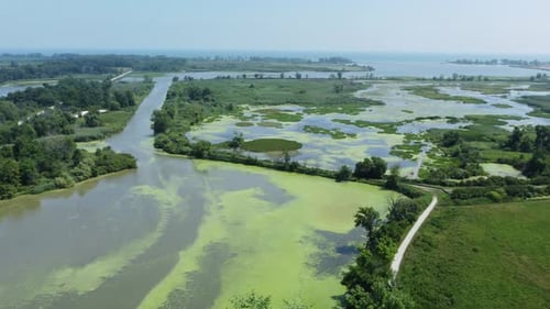Fragmentation de l'habitat à proximité d'une zone humide en Ontario, au Canada