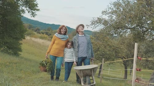 Grandparents and Child Walk with Wheelbarrow in Field