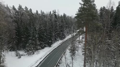 A Serene Winter Road Meandering Through a Snowy Forest Landscape Accompanied By a Blurry Background