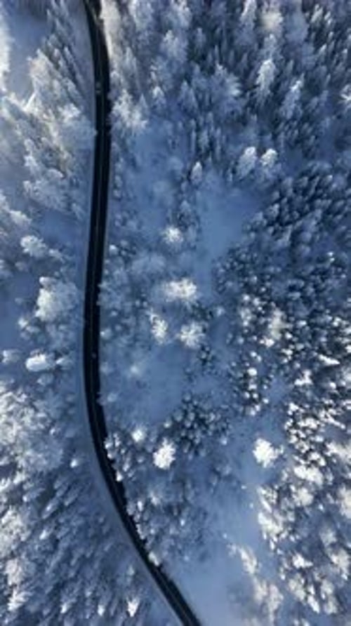Aerial View of a Car Driving on a Snowy Winter Mountain Road