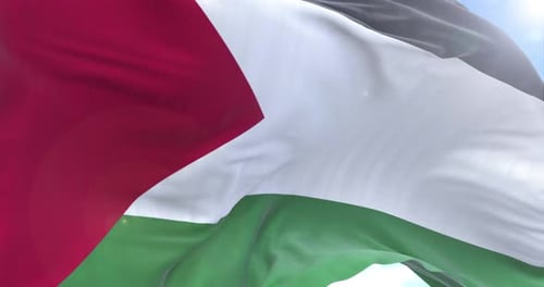 Realistic Palestinian Flag Waving in Blue Sky