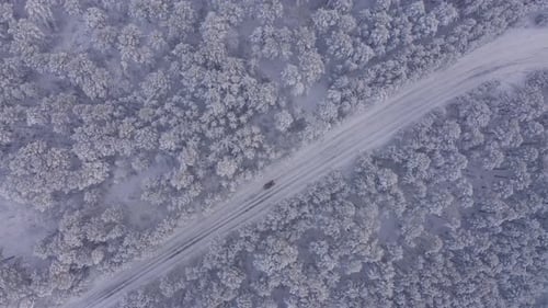 Aerial Footage a Car Driving on a Road in Winter Forest Landscape