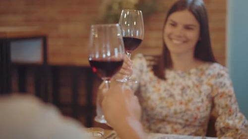 Young happy couple toasting with glasses of red wine.