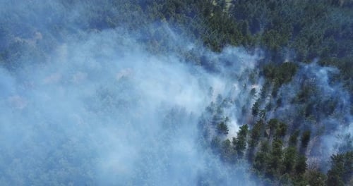 Smoke rises over forest fire. Dramatic landscape, drone view.