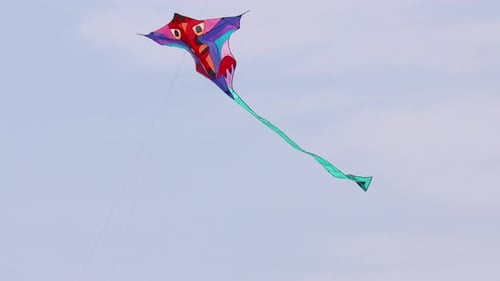Large colorful delta kite flying against a cloudy sky; green tail flies in the wind