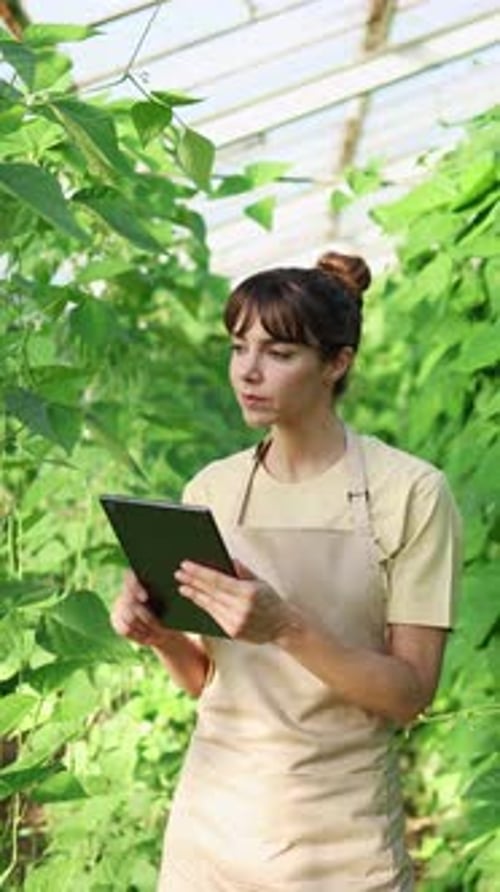 Female Farmer Using Tablet in Greenhouse Slow Motion Montage