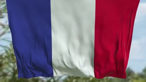 Realistic French National Flag Waving Loop