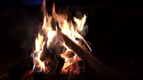 Seamless loop flames of outdoor campfire burning in dark, closeup