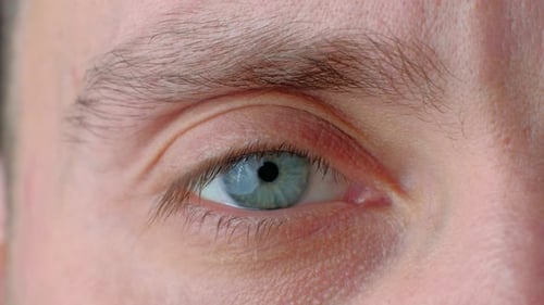 Close Up of a Male Eye Looking at Camera
