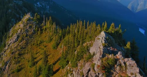 Mountain Top Forest Valley View. British Columbia, Canada.