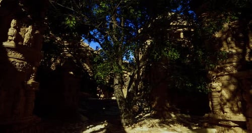 Ruines d'anciens temples entourées d'une végétation luxuriante pendant les heures d'ensoleillement