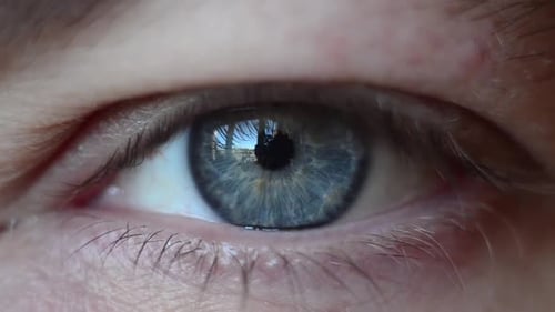 Closeup of a Man's Pupil