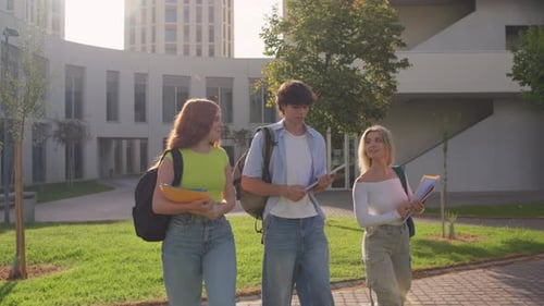 Engaging Conversations Among Students Strolling Through Campus