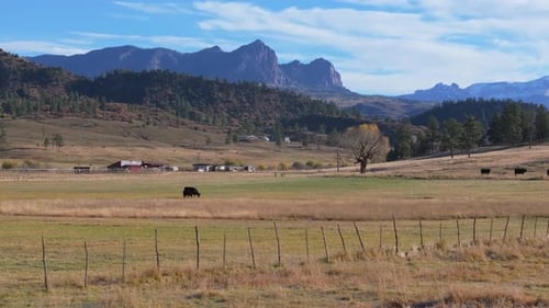 Atemberaubender Farmblick auf Colorado mit majestätischen Bergen und grasenden Rindern