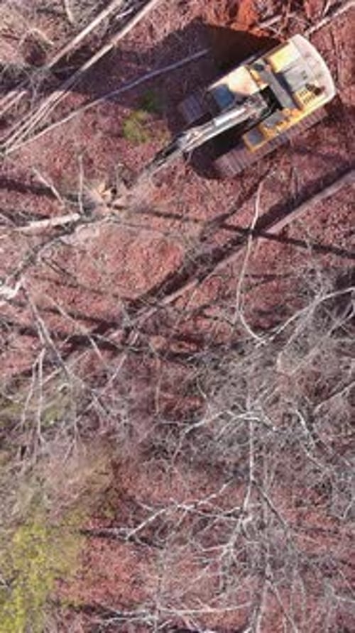 In Order to Prepare the Land for Construction a Tractor is Used to Uproot Trees
