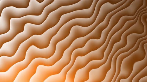 Fluid Organic Wavy Lines Abstract Looping Background