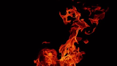 Energetic Flames on Black Background Close Up