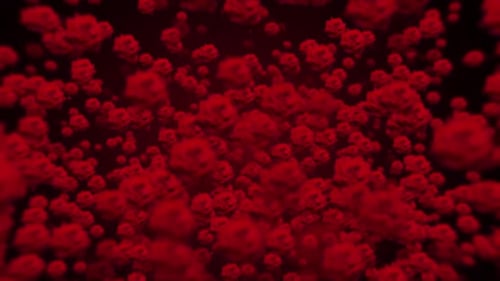 Rose Motion Animation-Hintergrundvideo