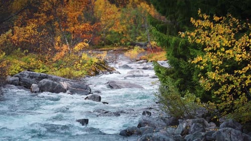 A fast-moving mountain stream winds through a rocky riverbed, surrounded by autumn-colored trees in